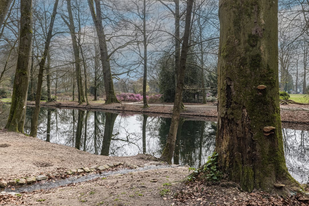 Photo 37 of Frederik van Eedenstraat 61