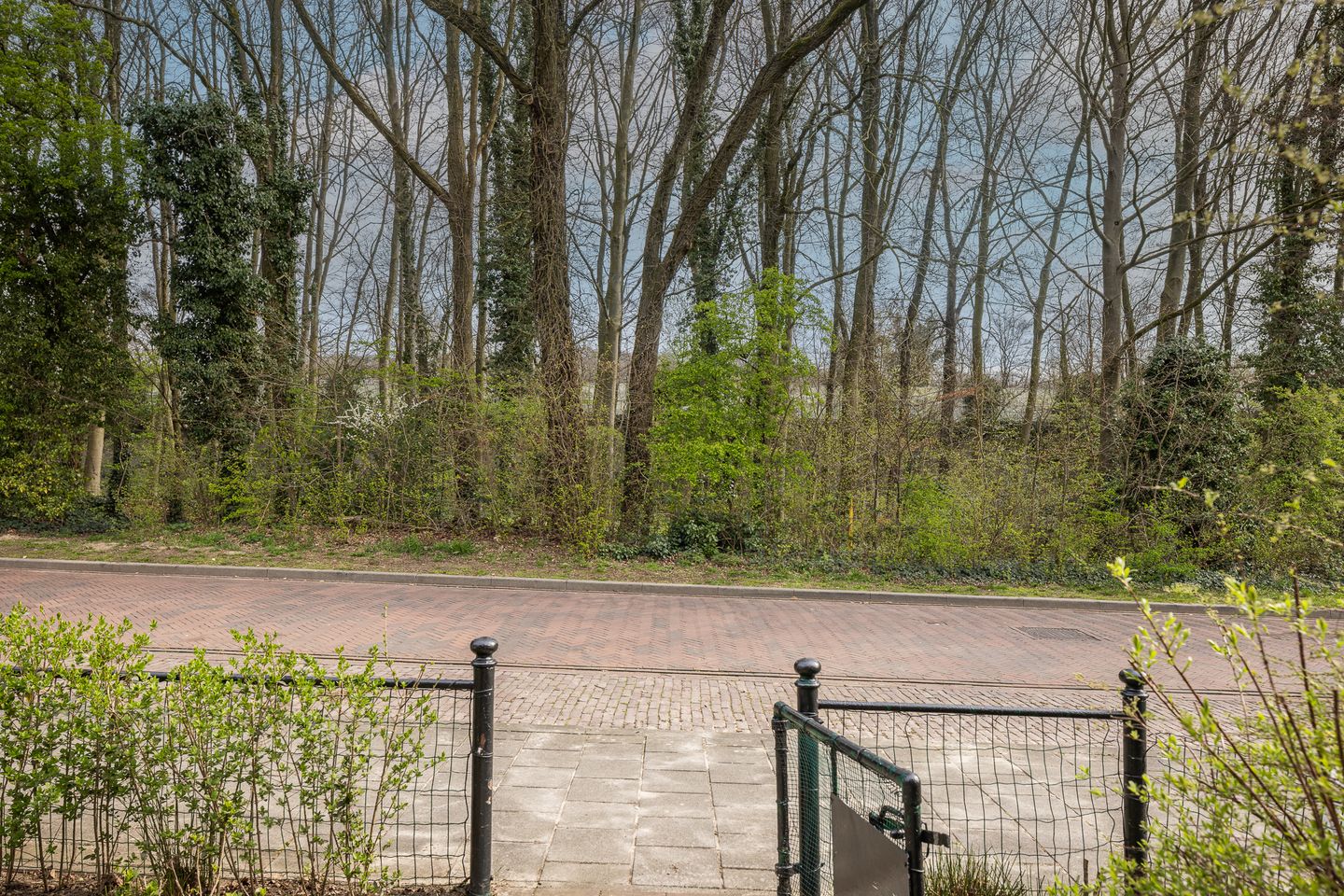 Photo 34 of Frederik van Eedenstraat 61