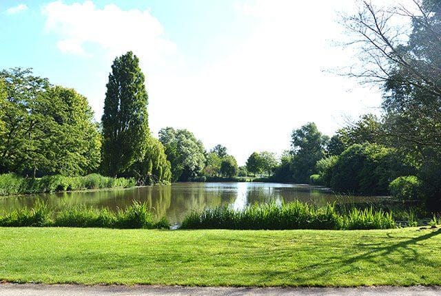 Foto 24 van Javastraat 192-2