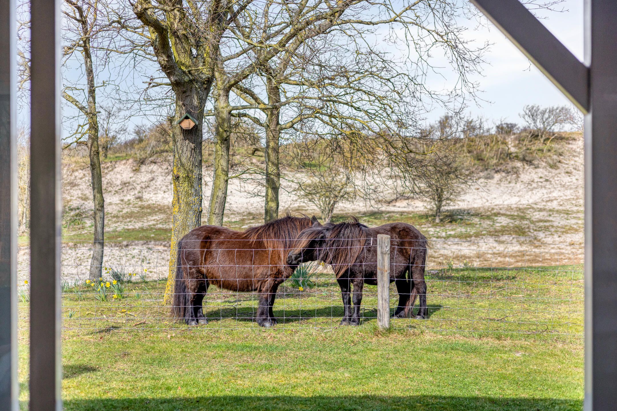 Foto 42 van Duinweg 9