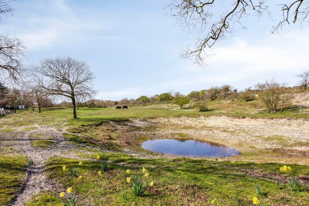 Foto 43 van Duinweg 9