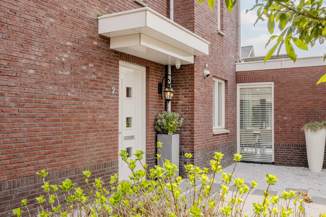 Foto 61 van Koolwitje 2