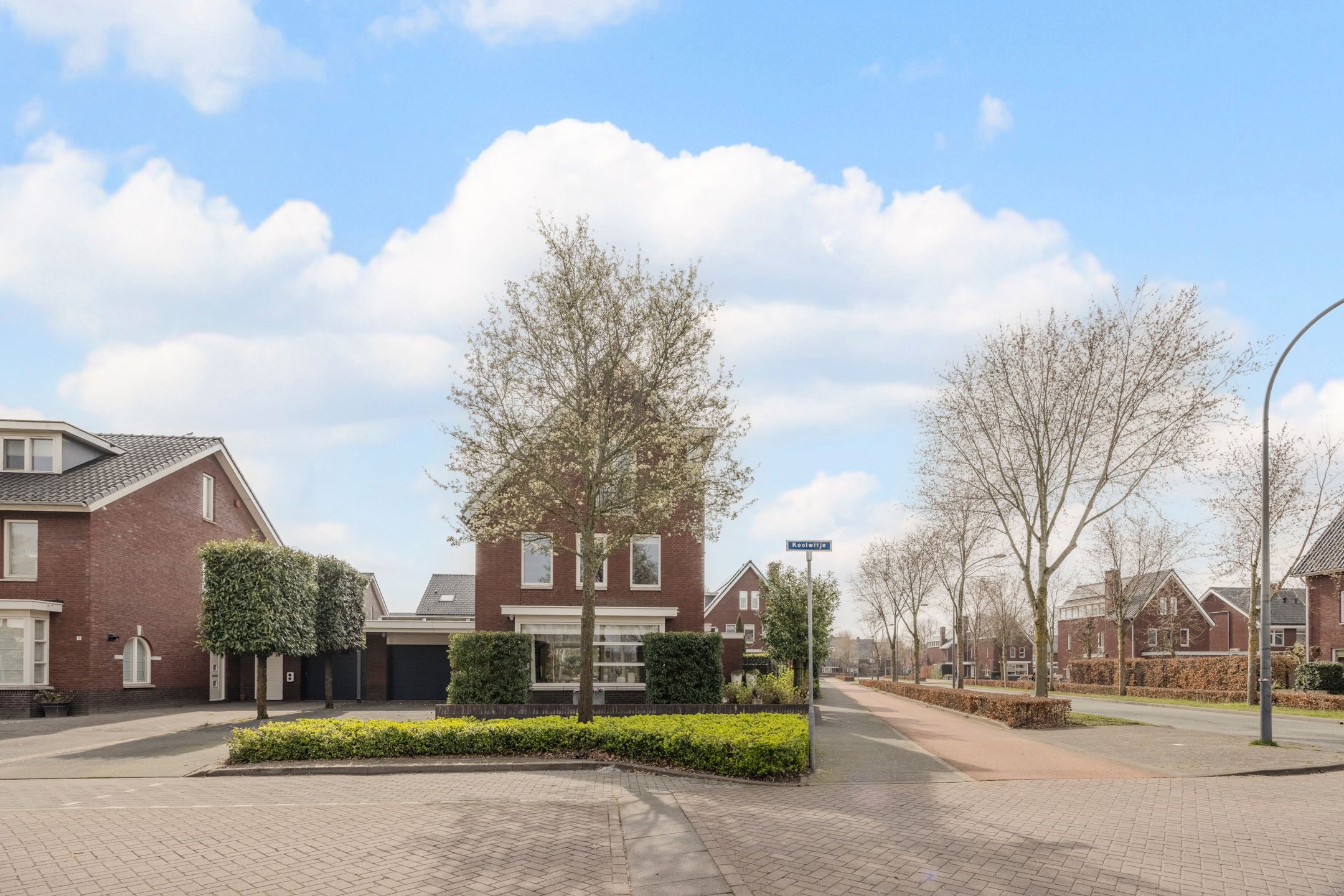 Foto 63 van Koolwitje 2