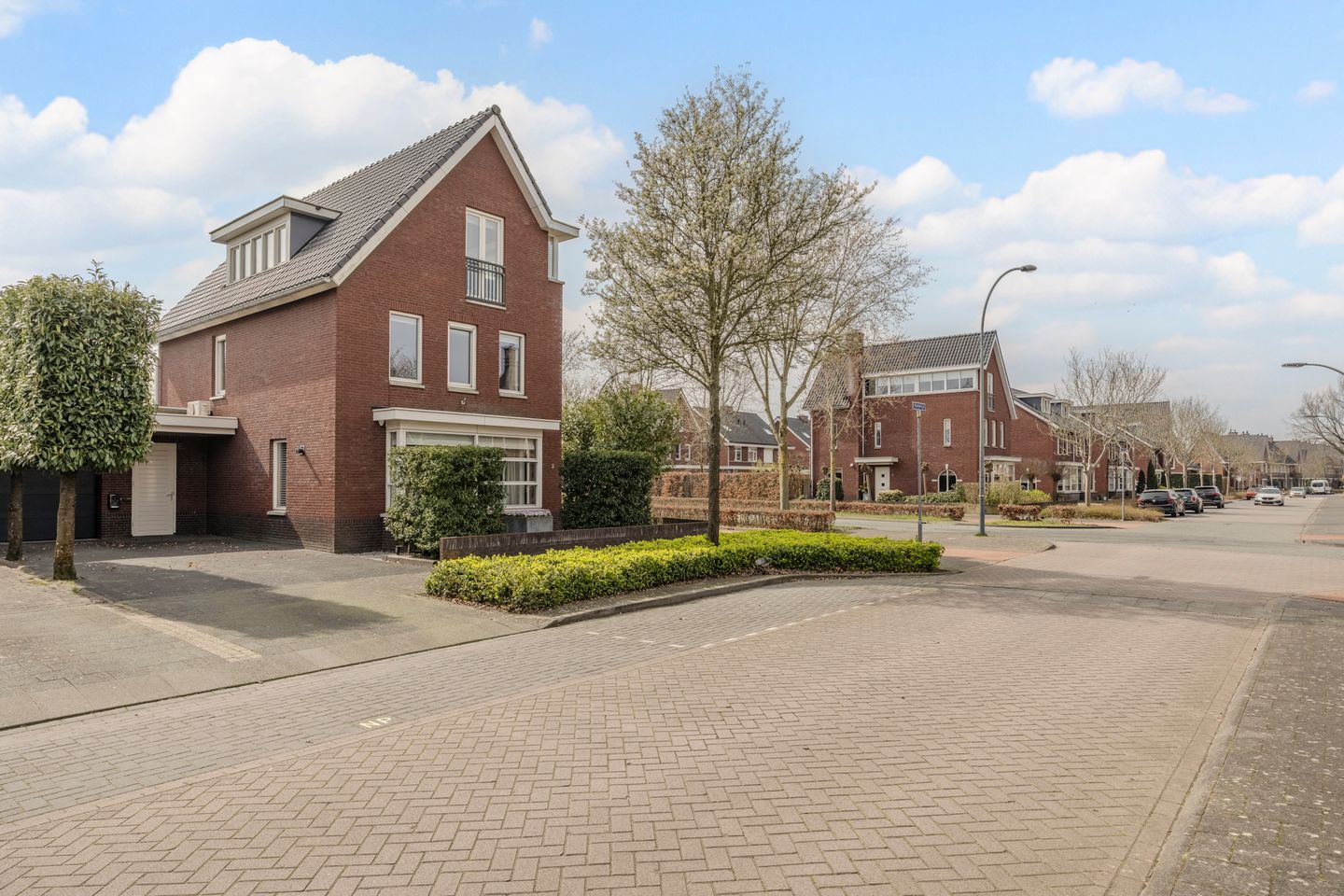 Foto 64 van Koolwitje 2