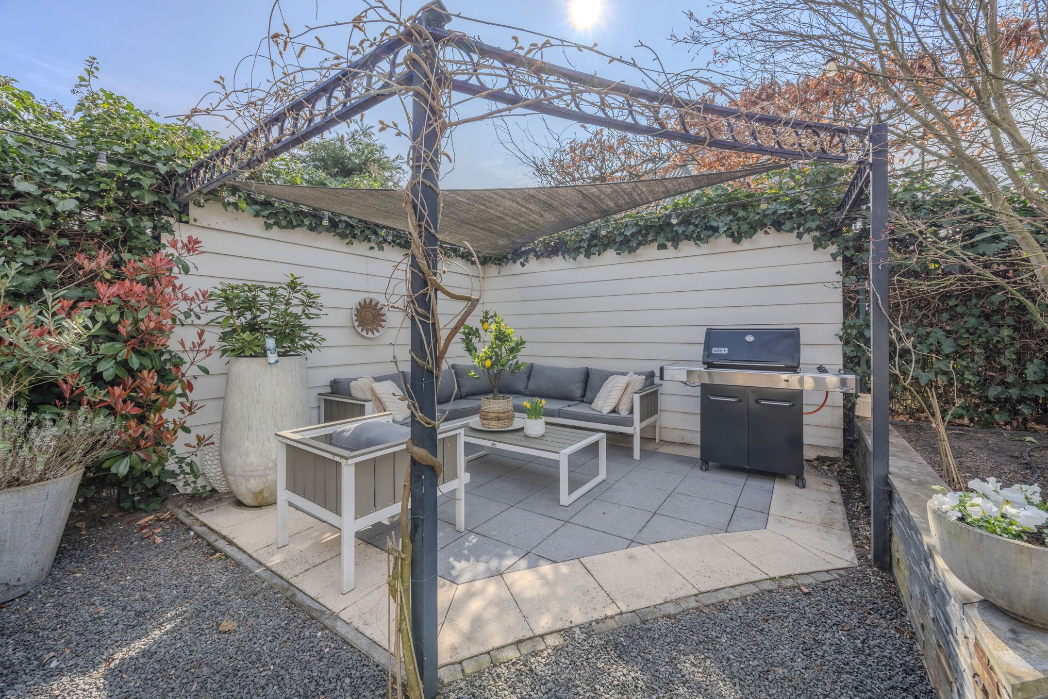 Foto 48 van Koolwitje 2