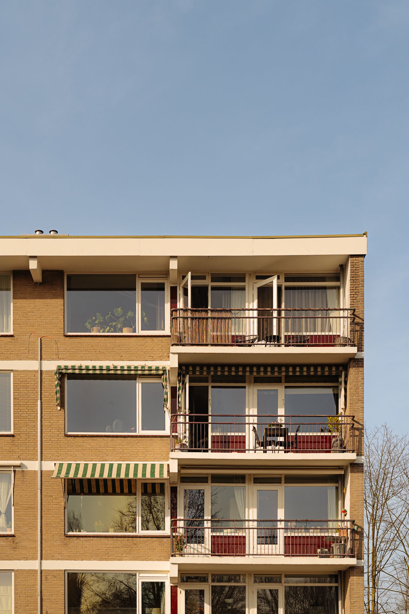 Foto 3 van William Boothlaan 292