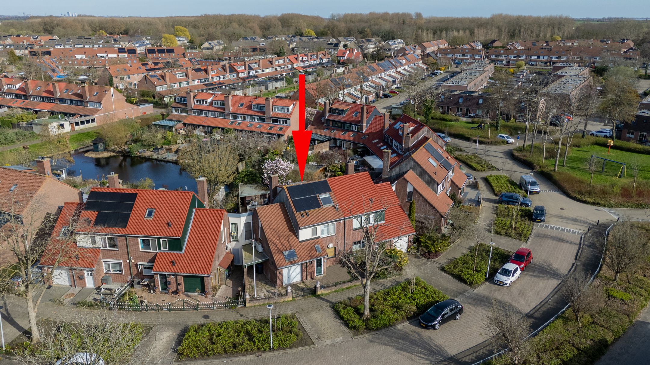 Foto 6 van Kreeft 80