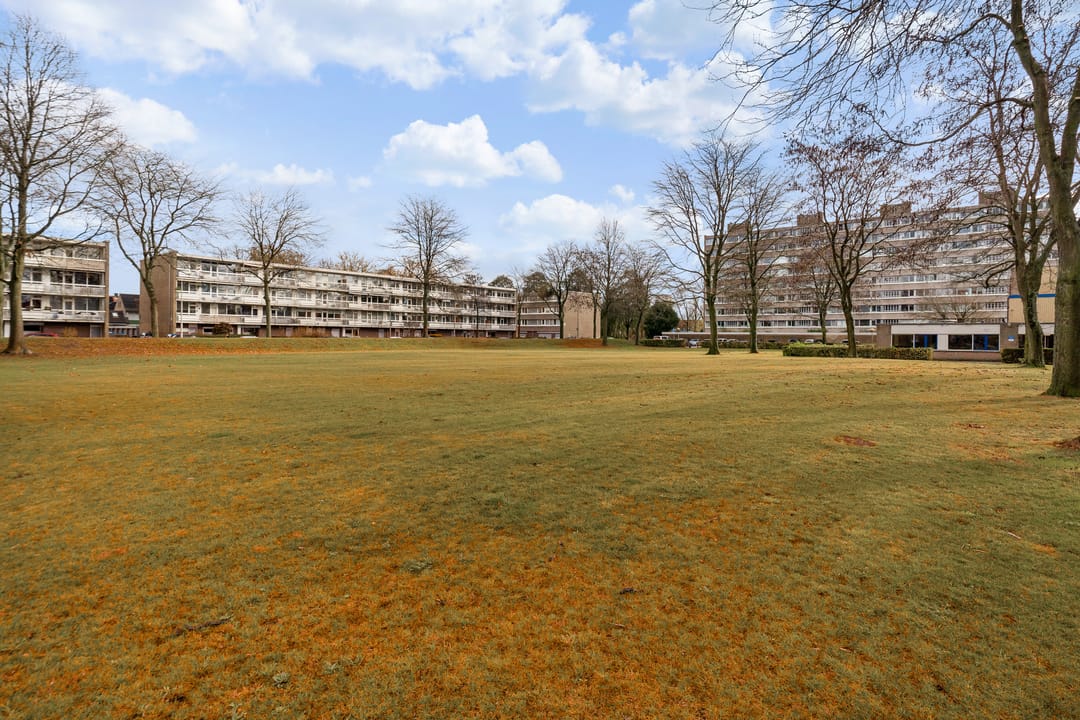 Foto 26 van Zangvogelweg 107