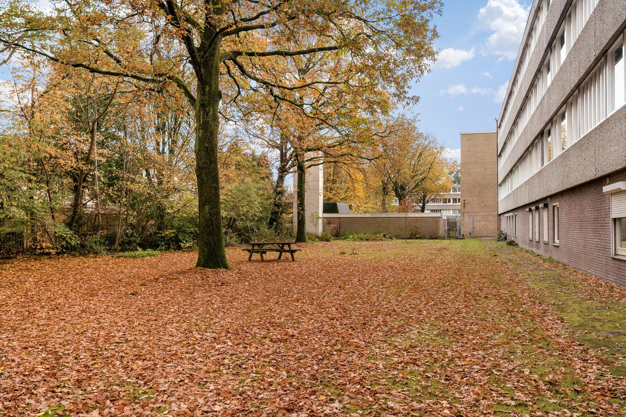 Foto 27 van Zangvogelweg 107