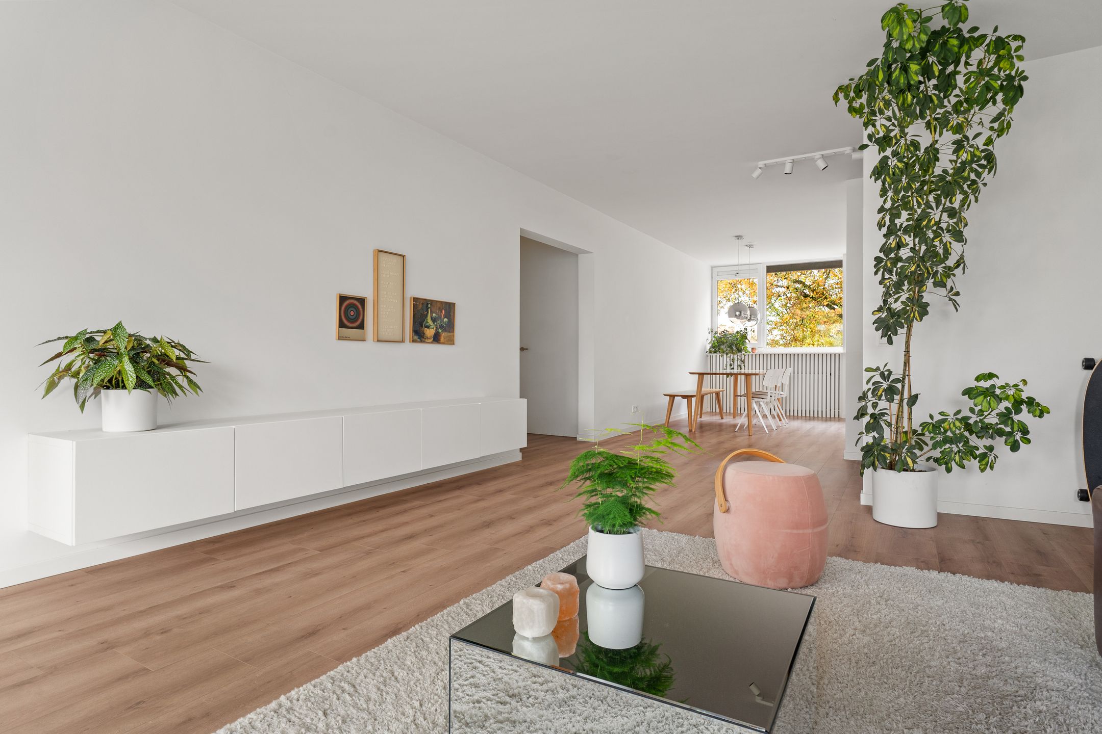 Foto 12 van Zangvogelweg 107