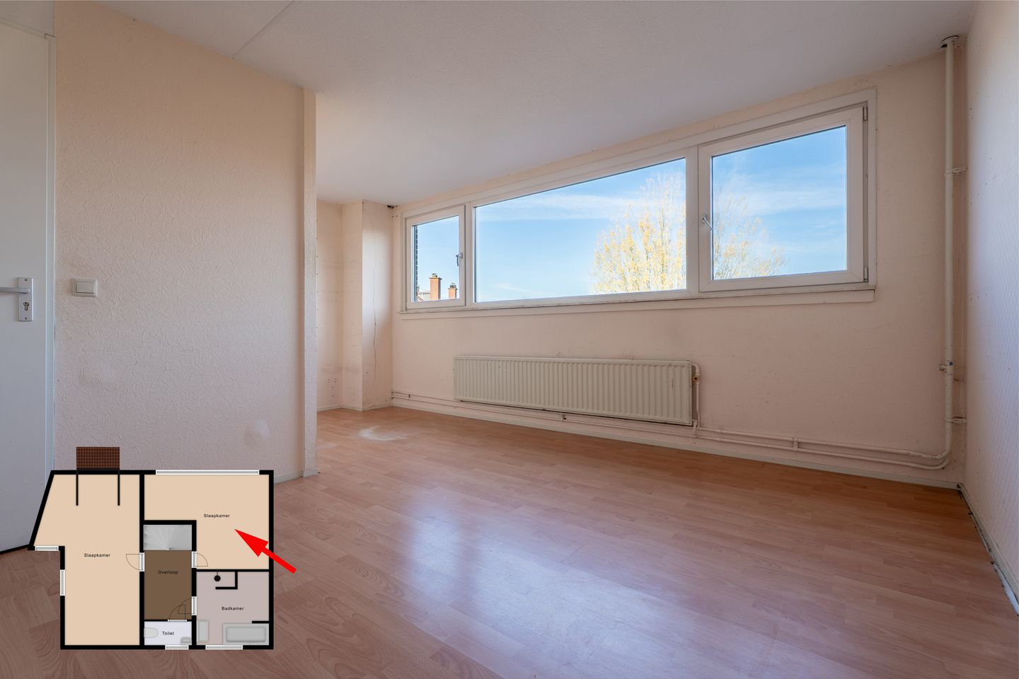 Foto 25 van Kreeft 80