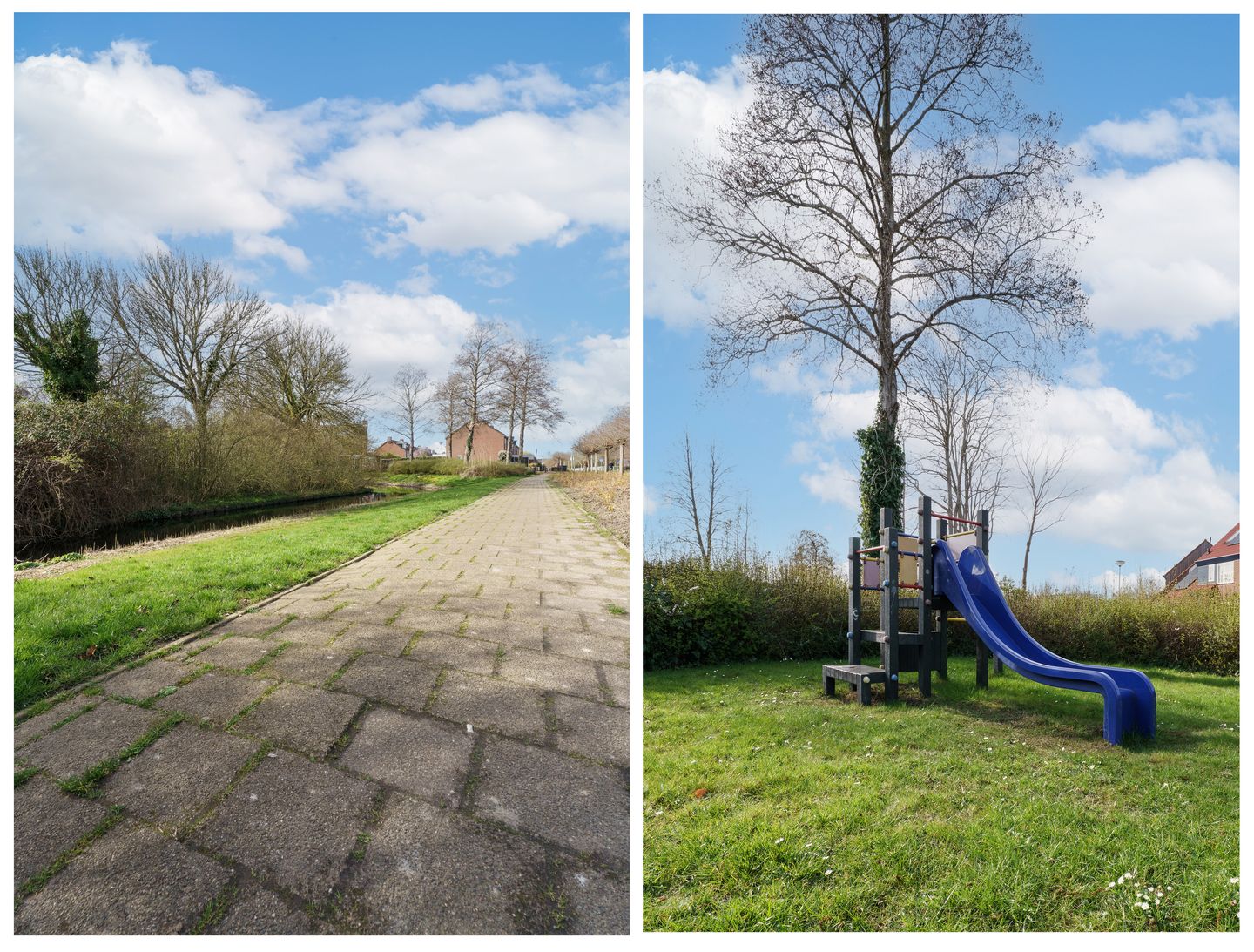 Foto 34 van Kreeft 80