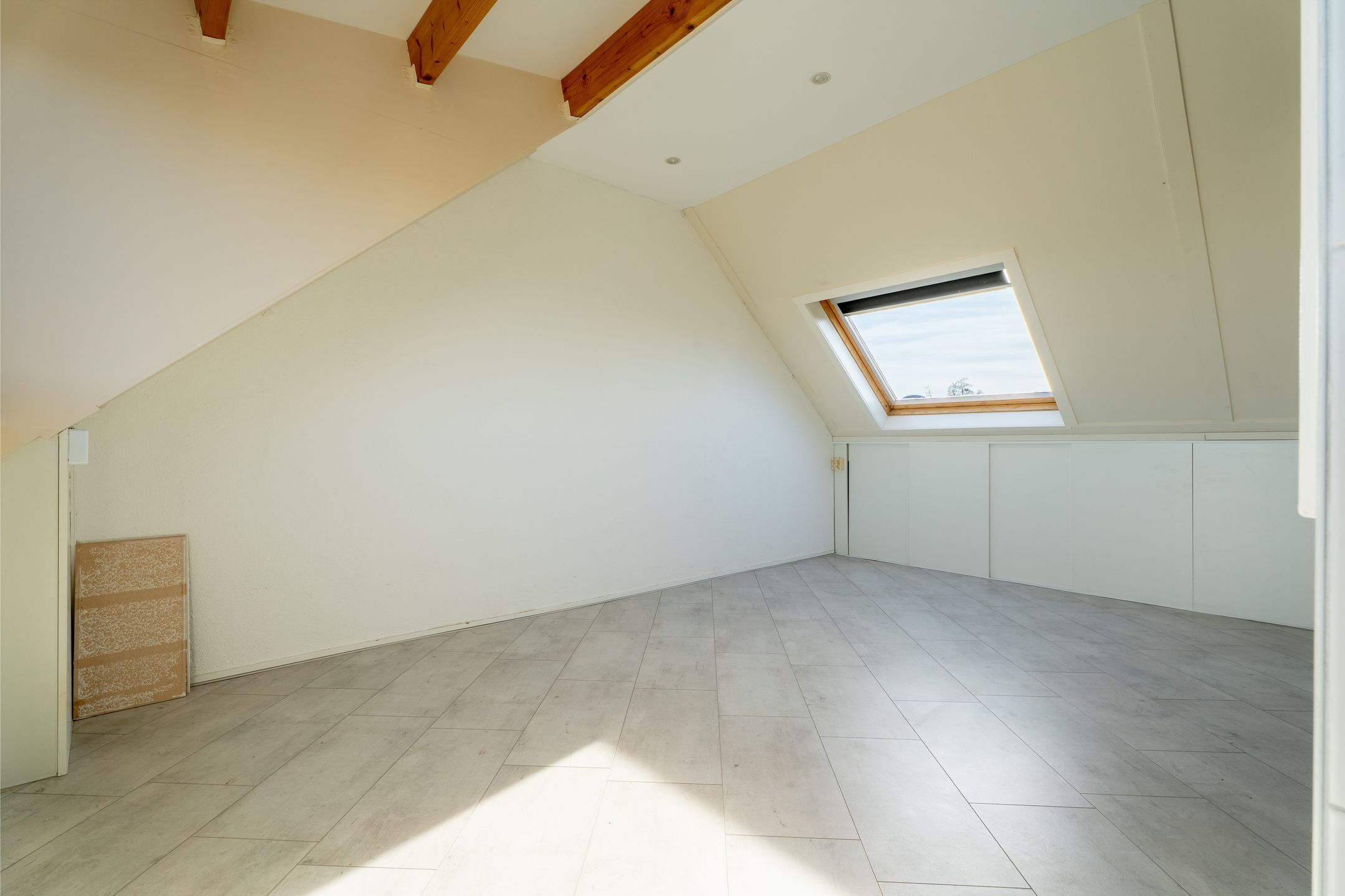 Foto 33 van Kreeft 80