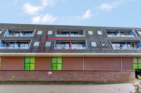 Schoneveld 91 secondary image