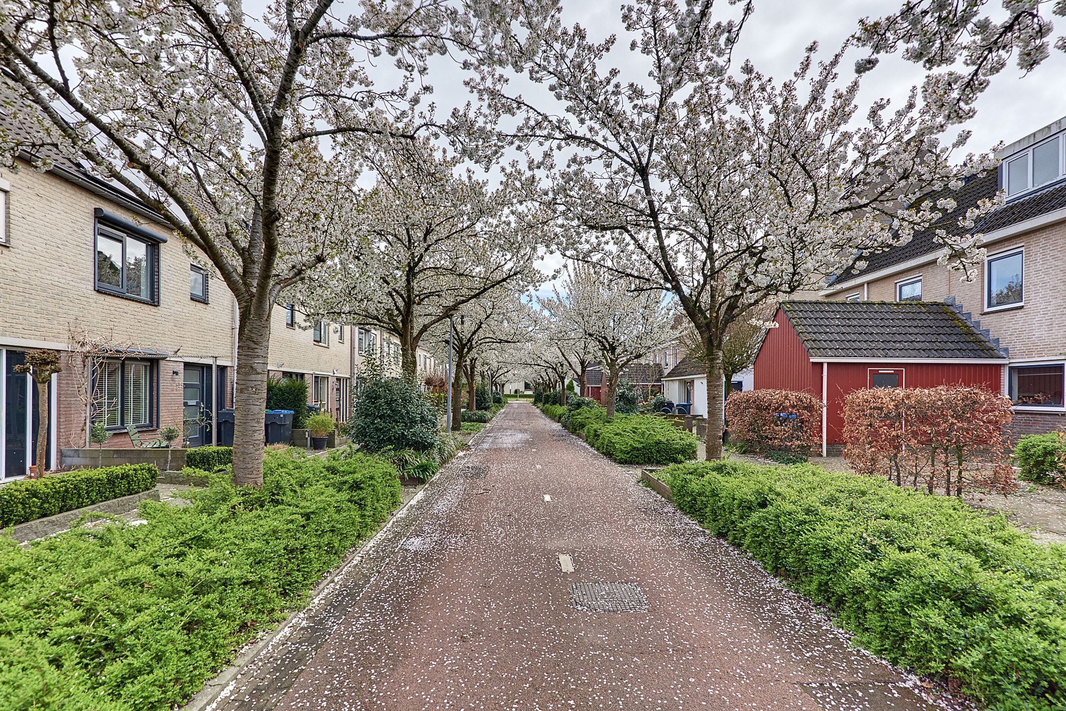 Foto 57 van Sweelinckdreef 31