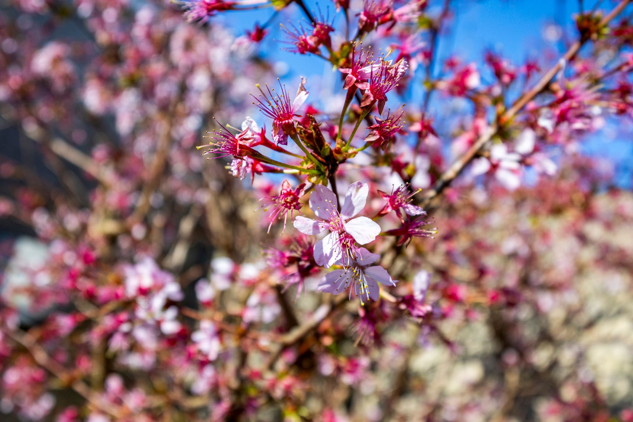 Foto 18 van Meester Broerensingel 1