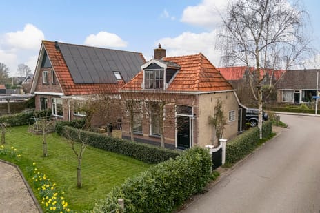 undefined main image