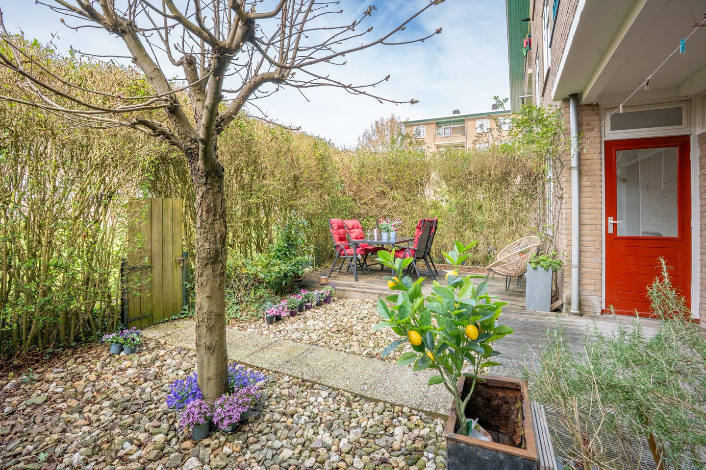 Foto 25 van Ridderplantsoen 13