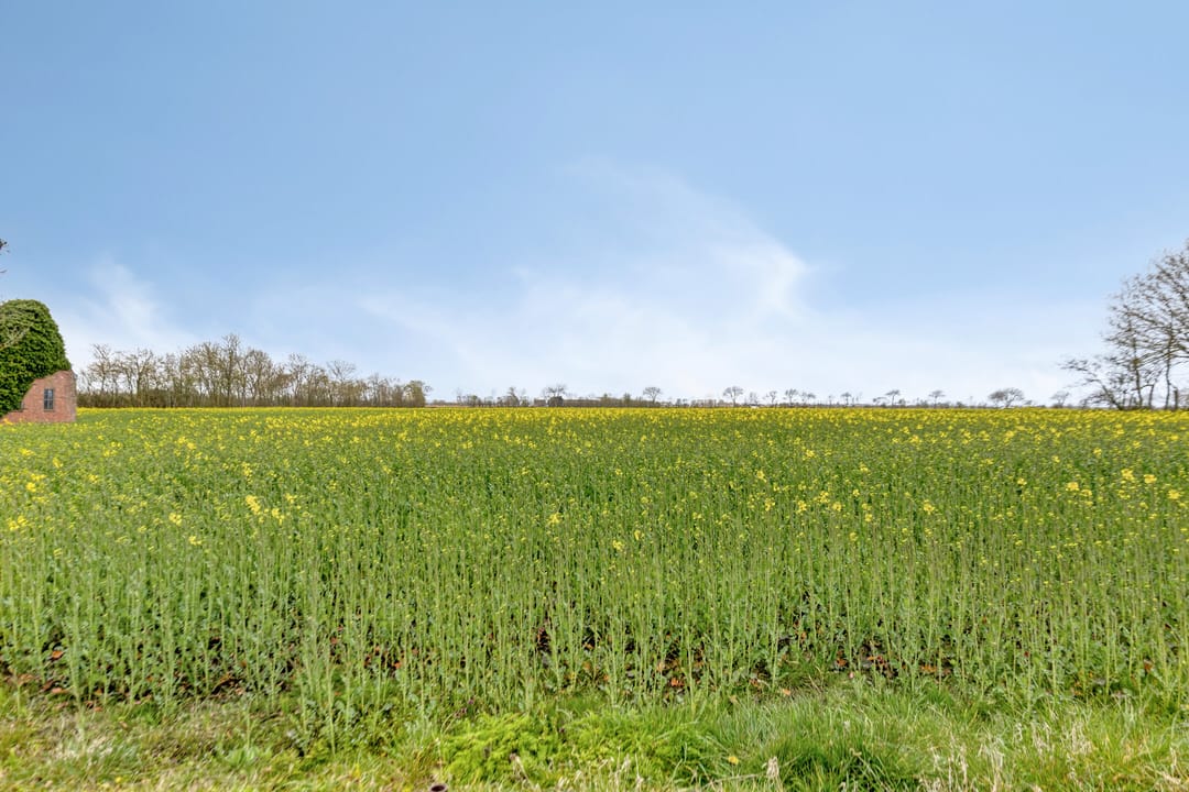 Photo 38 of Noordweg 285