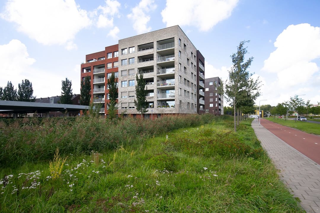 Foto 2 van De Malus 91