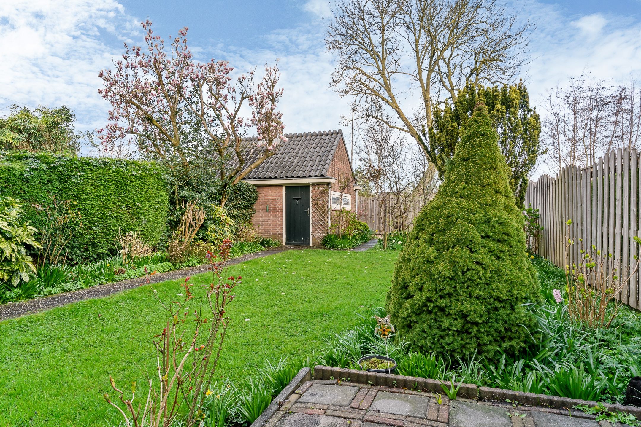 Foto 24 van Sportlaan 63