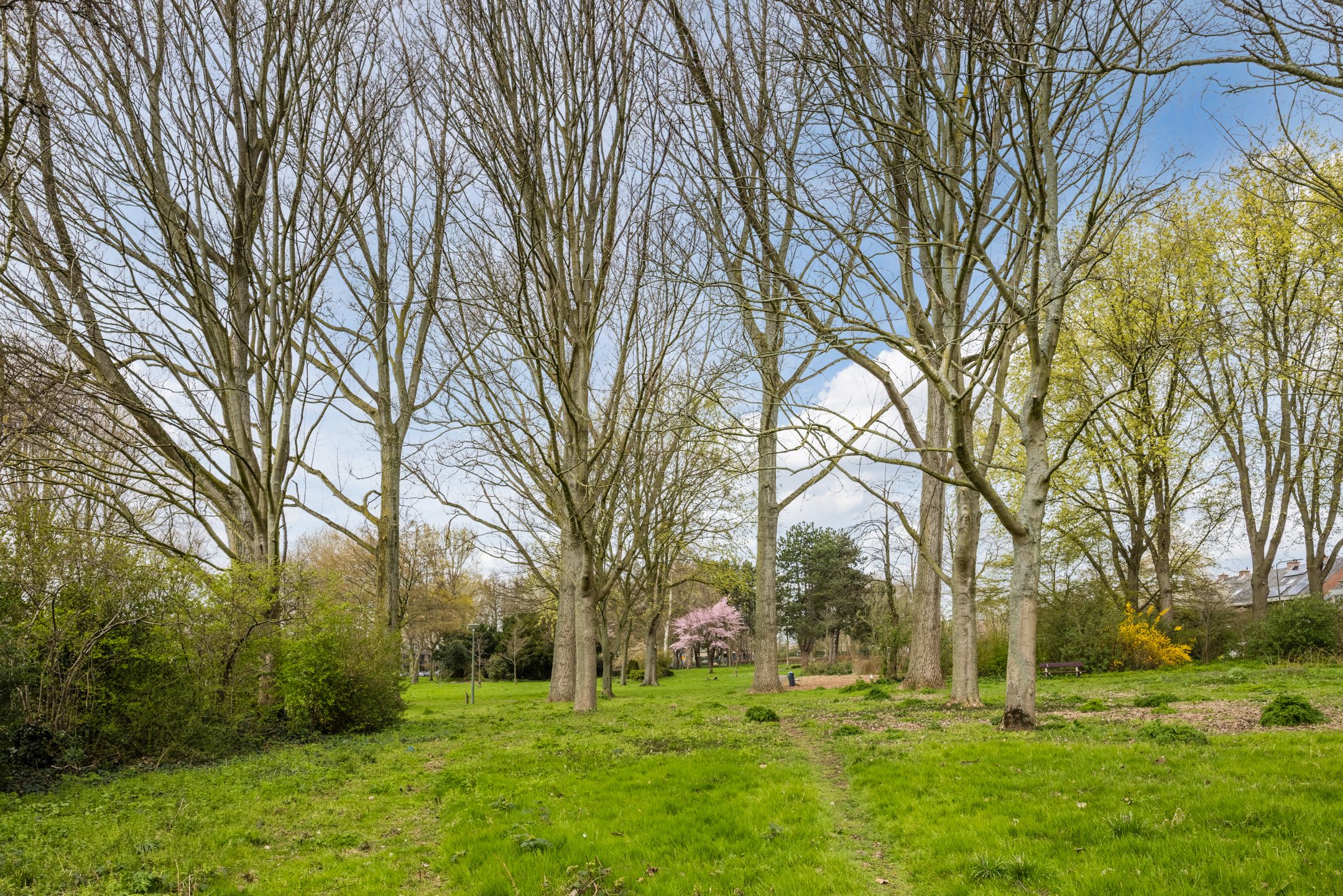 Foto 6 van Uiverlaan 12-E