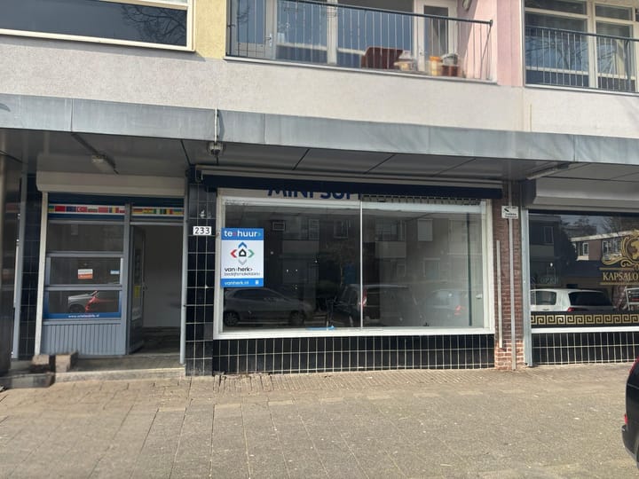 Dumasstraat 233, Rotterdam