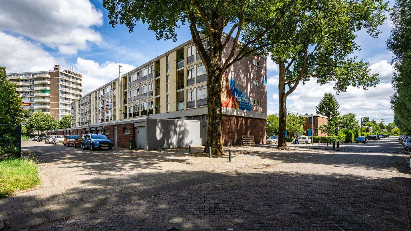 Bekijk foto 4 van Dumasstraat 233