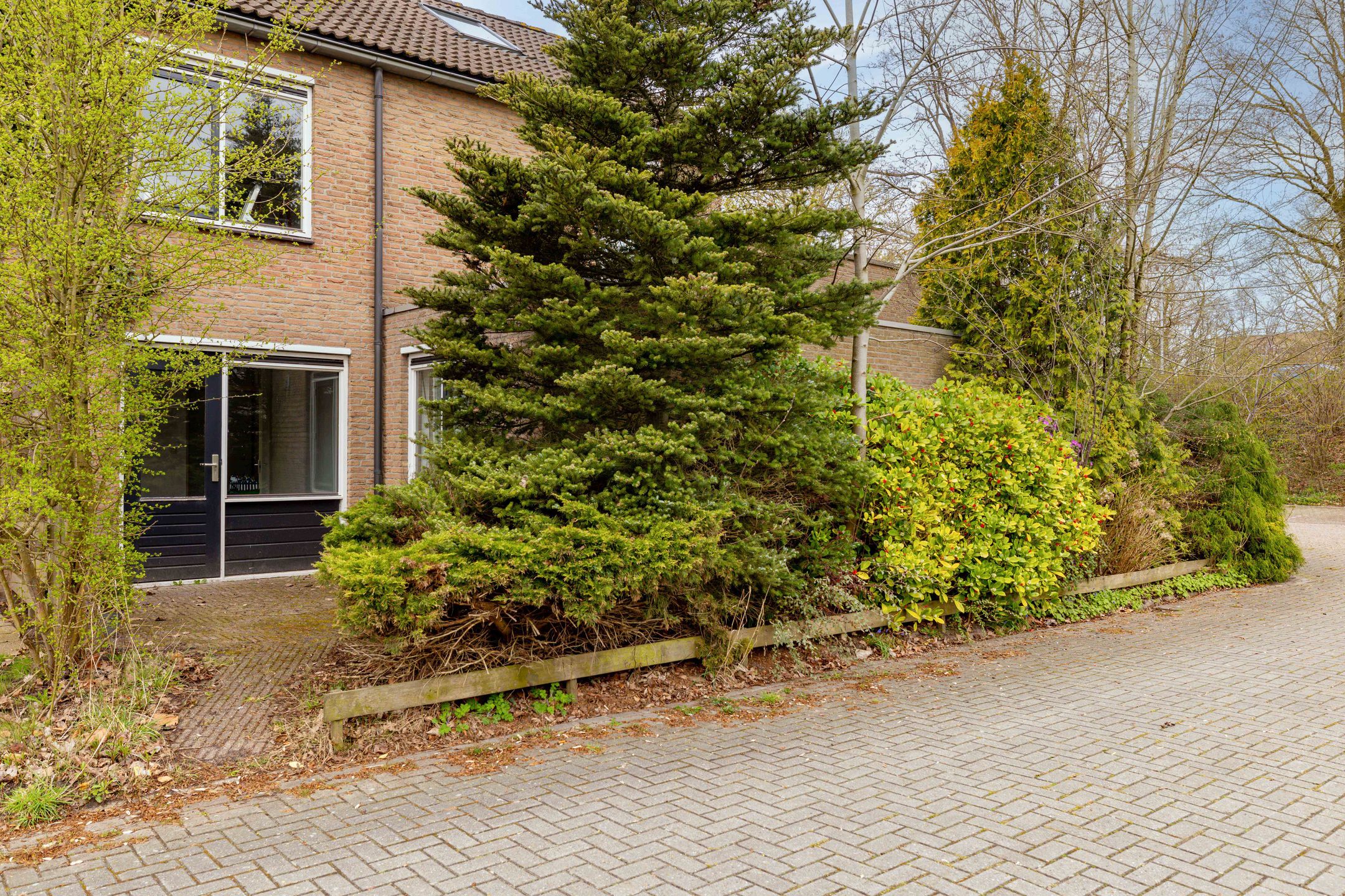 Foto 24 van Kolffstraat 1