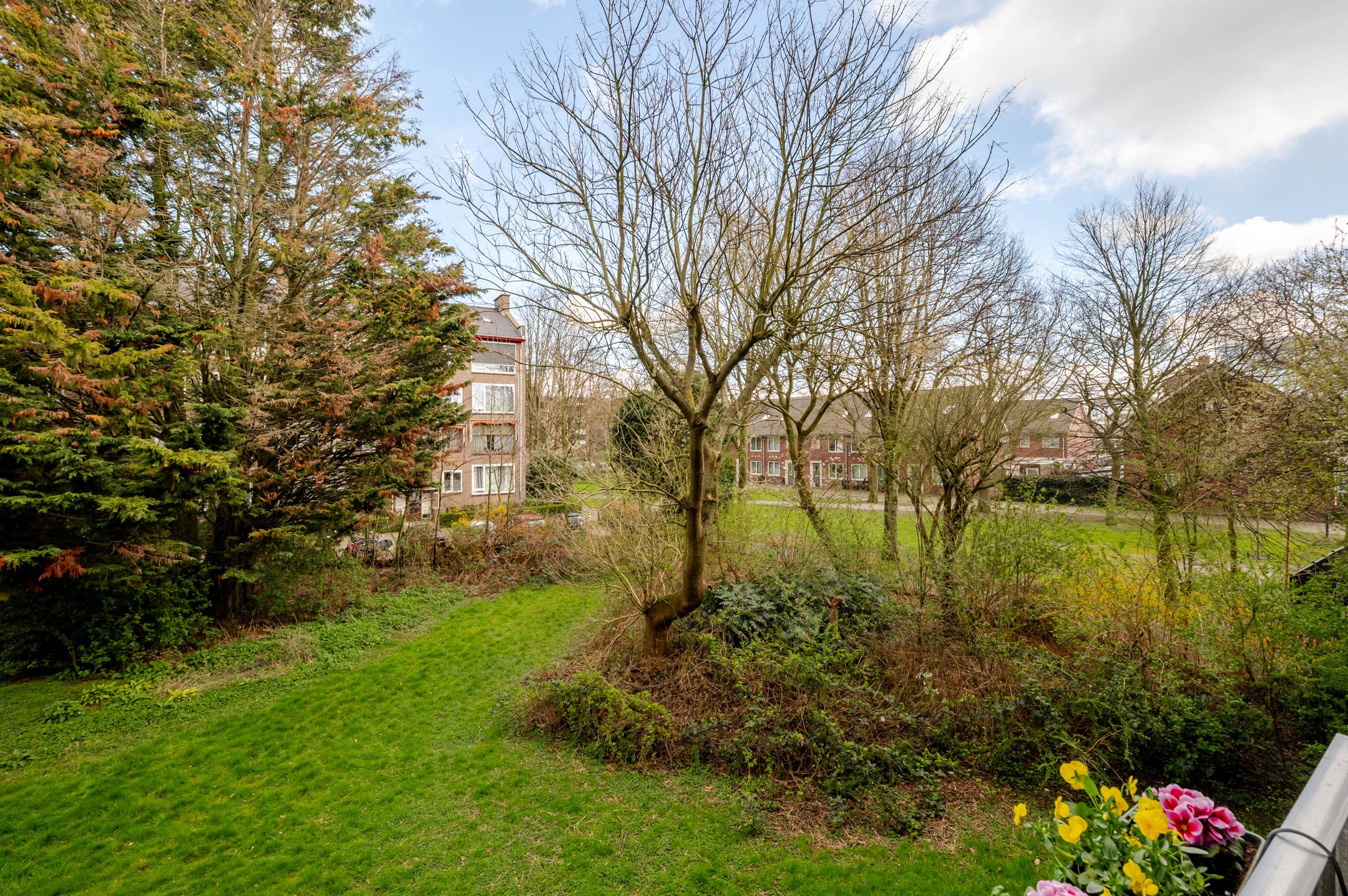 Foto 18 van Dr N. Adrianistraat 35