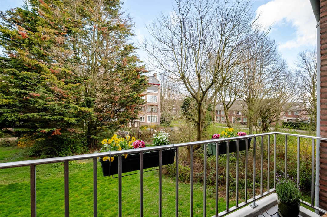 Foto 16 van Dr N. Adrianistraat 35