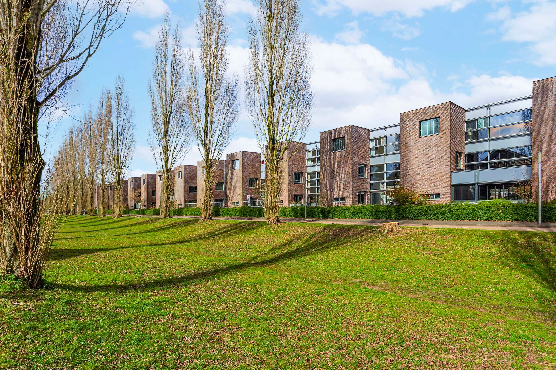 Foto 51 van Leo Fallplantsoen 20