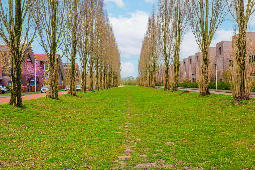 Foto 52 van Leo Fallplantsoen 20