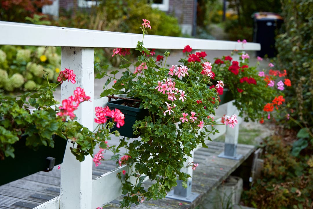 Foto 13 van Dorpsstraat 68