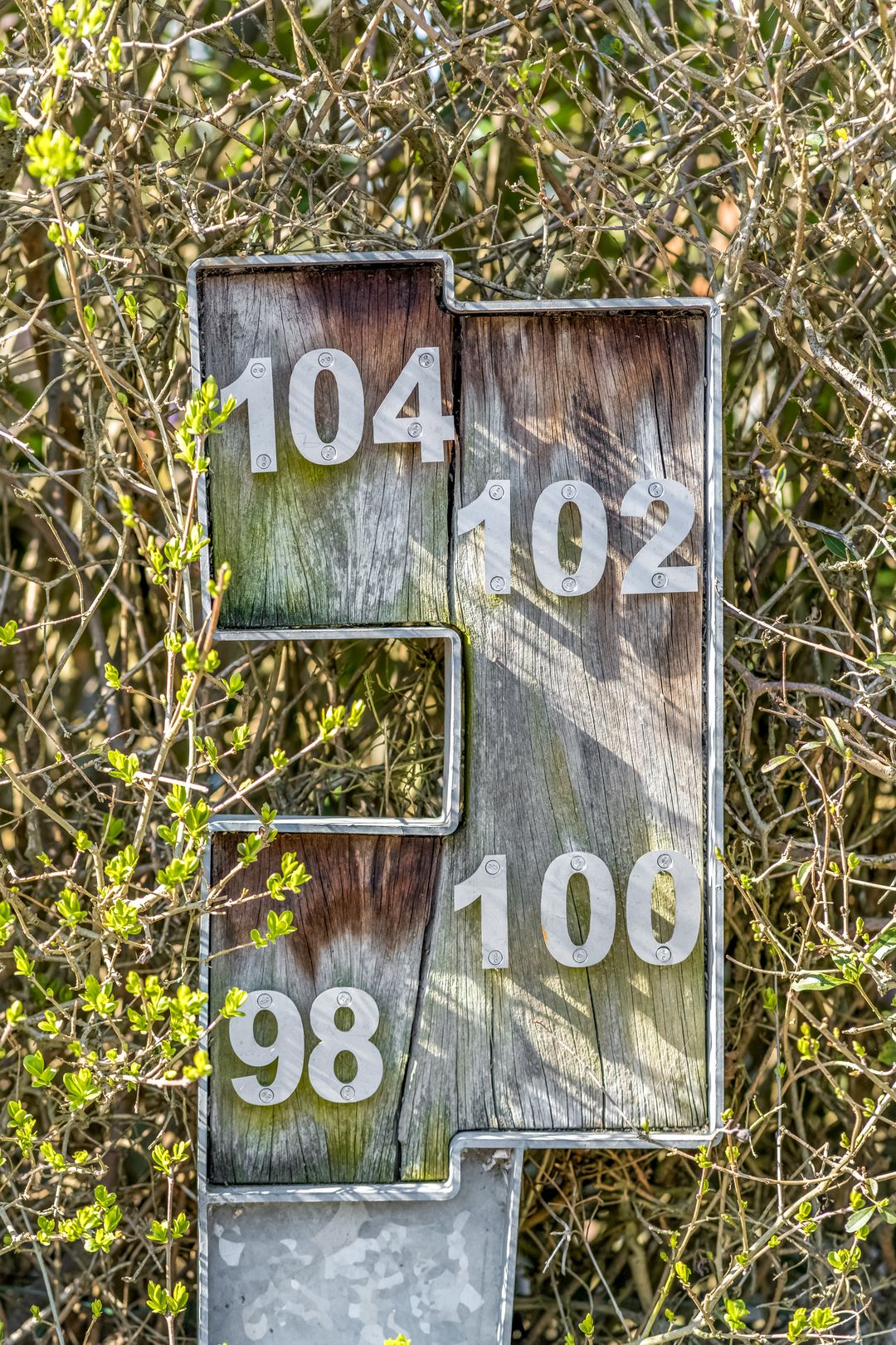 Foto 23 van W.F. Hermansstraat 100