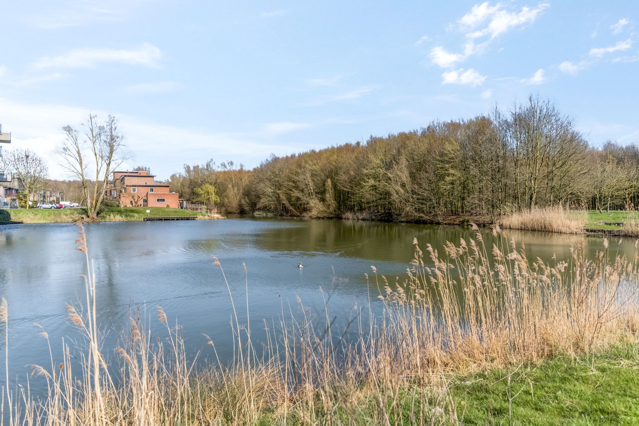 Foto 24 van W.F. Hermansstraat 100