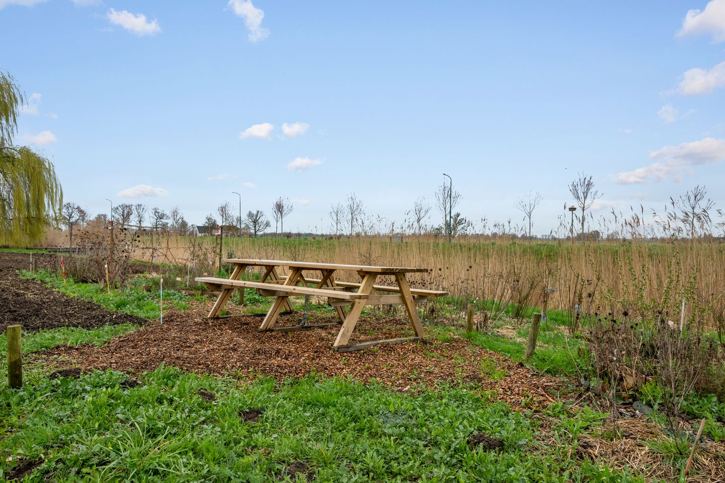 Foto 25 van Duinmeer 24