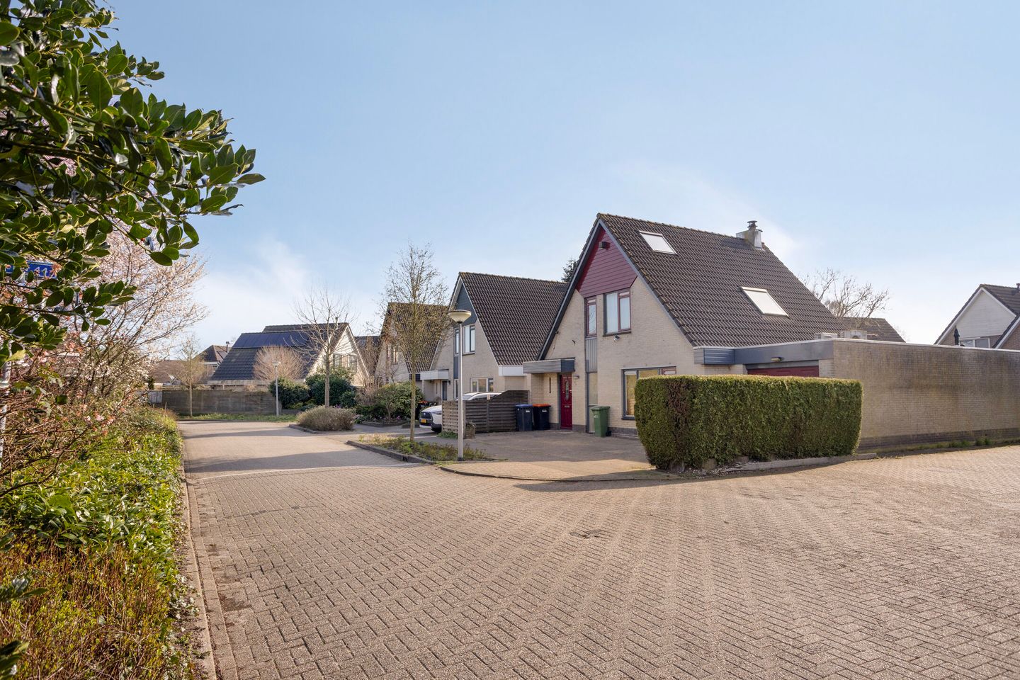 Photo 20 of Schoener 40 20