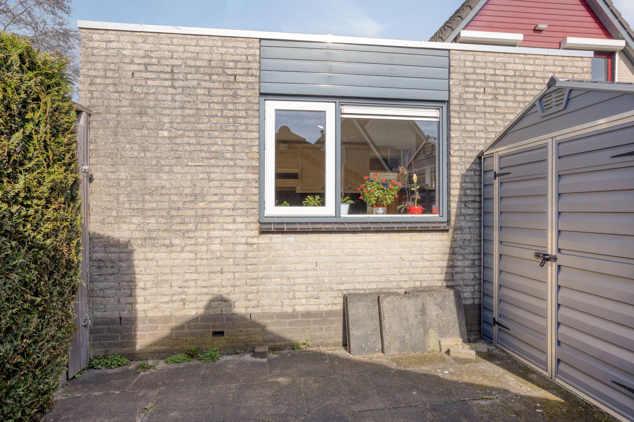 Photo 24 of Schoener 40 20