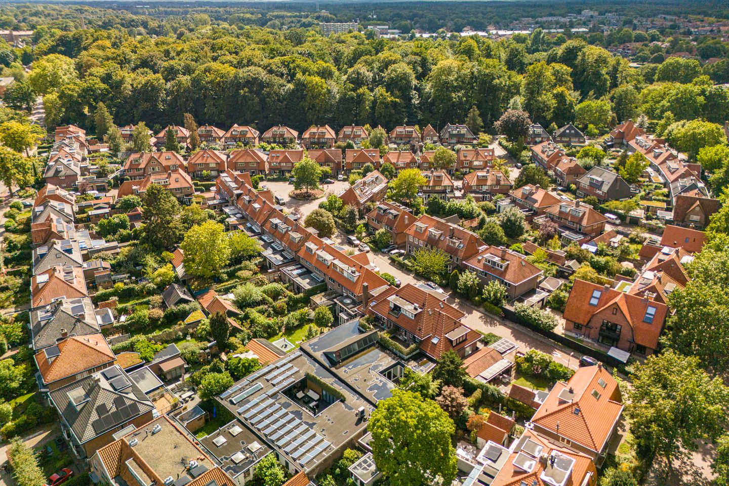 Foto 14 van Reigerstraat 10