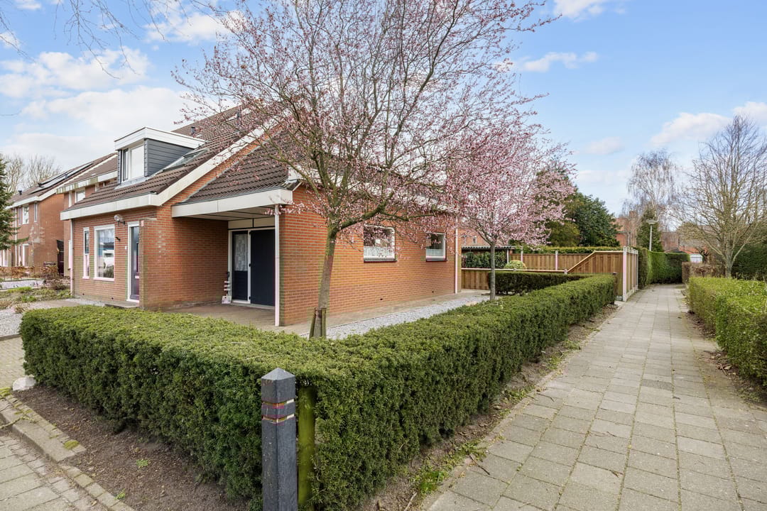 Foto 22 van Borgmanstraat 21