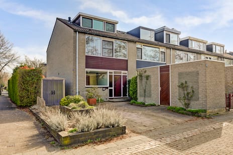 Elzendreef thumbnail