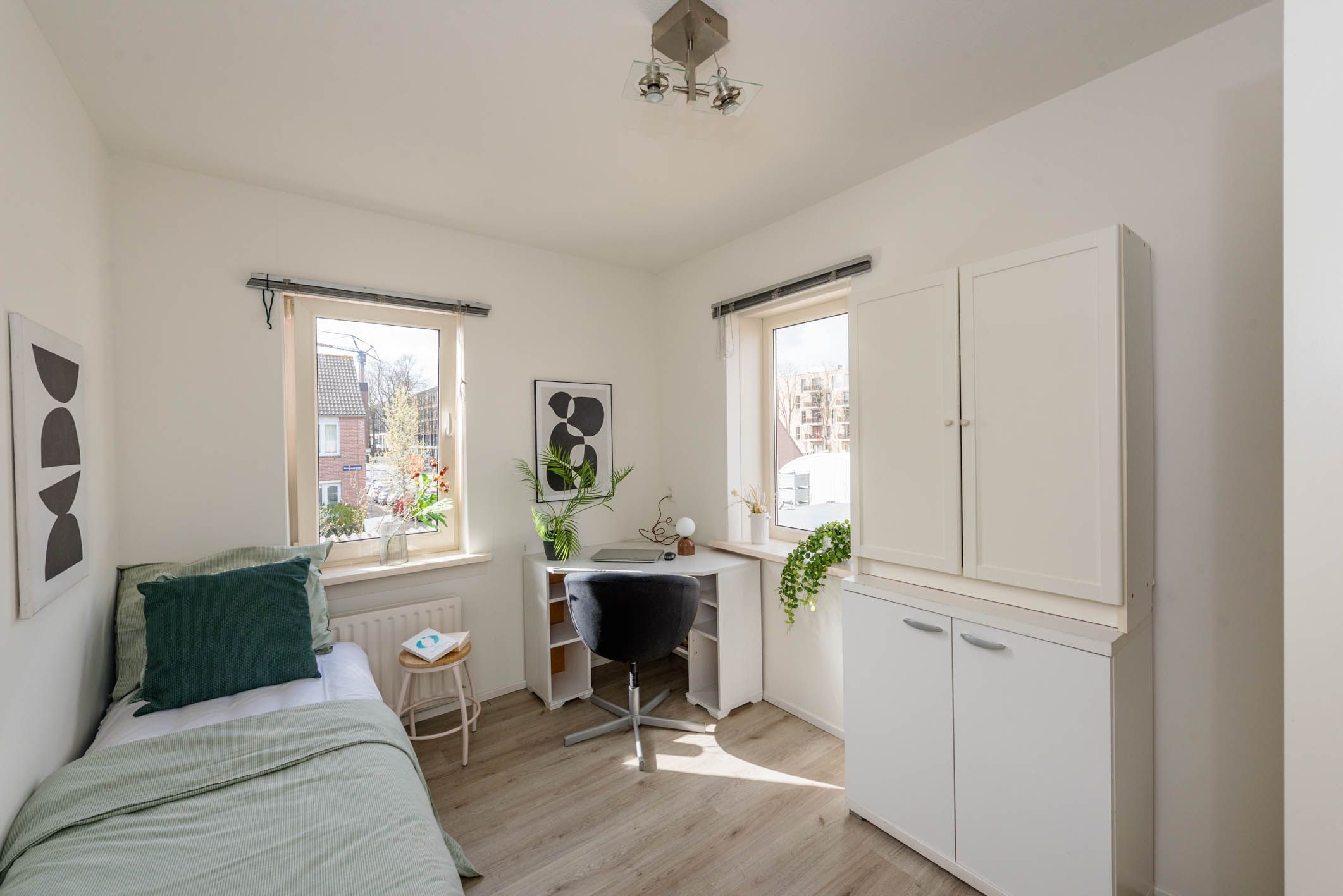 Foto 30 van Van Swietenstraat 1