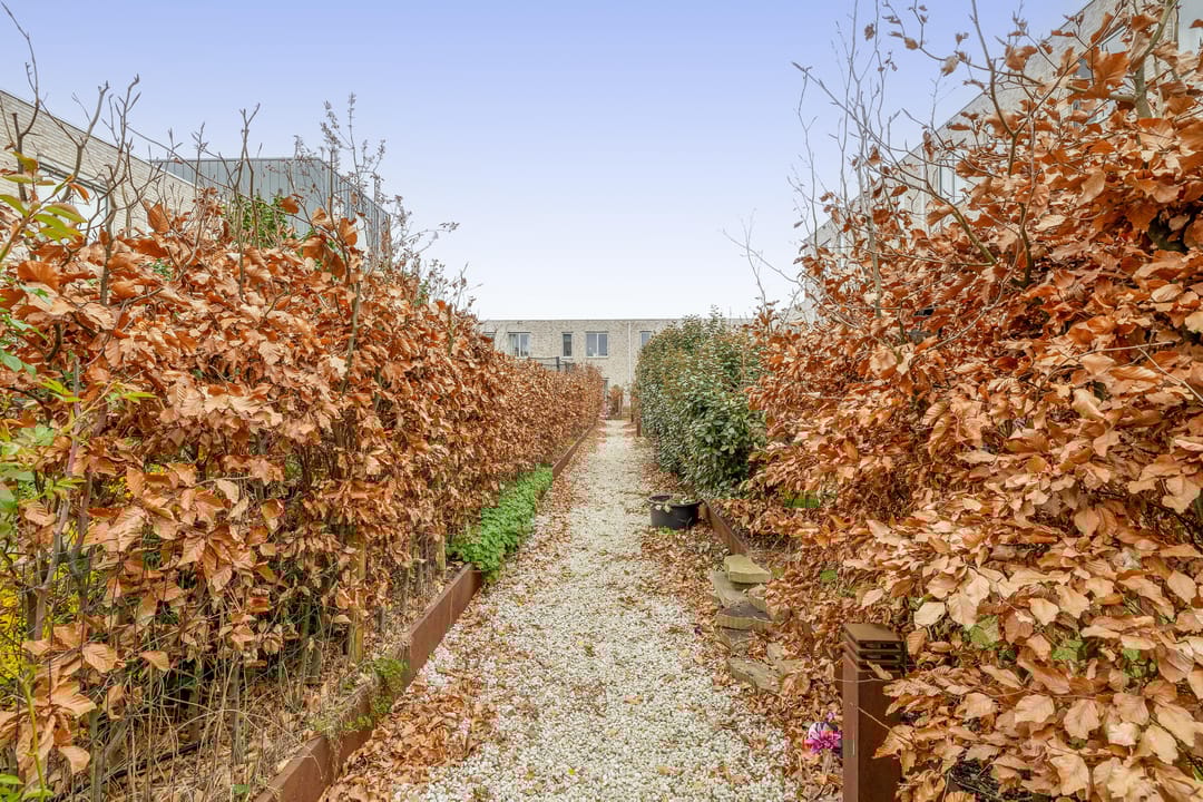 Foto 31 van Annie de Reuverhof 8