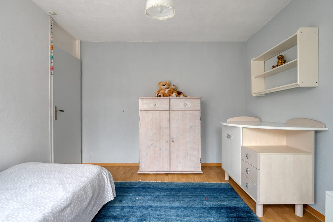 Foto 28 van Schutsboom 9