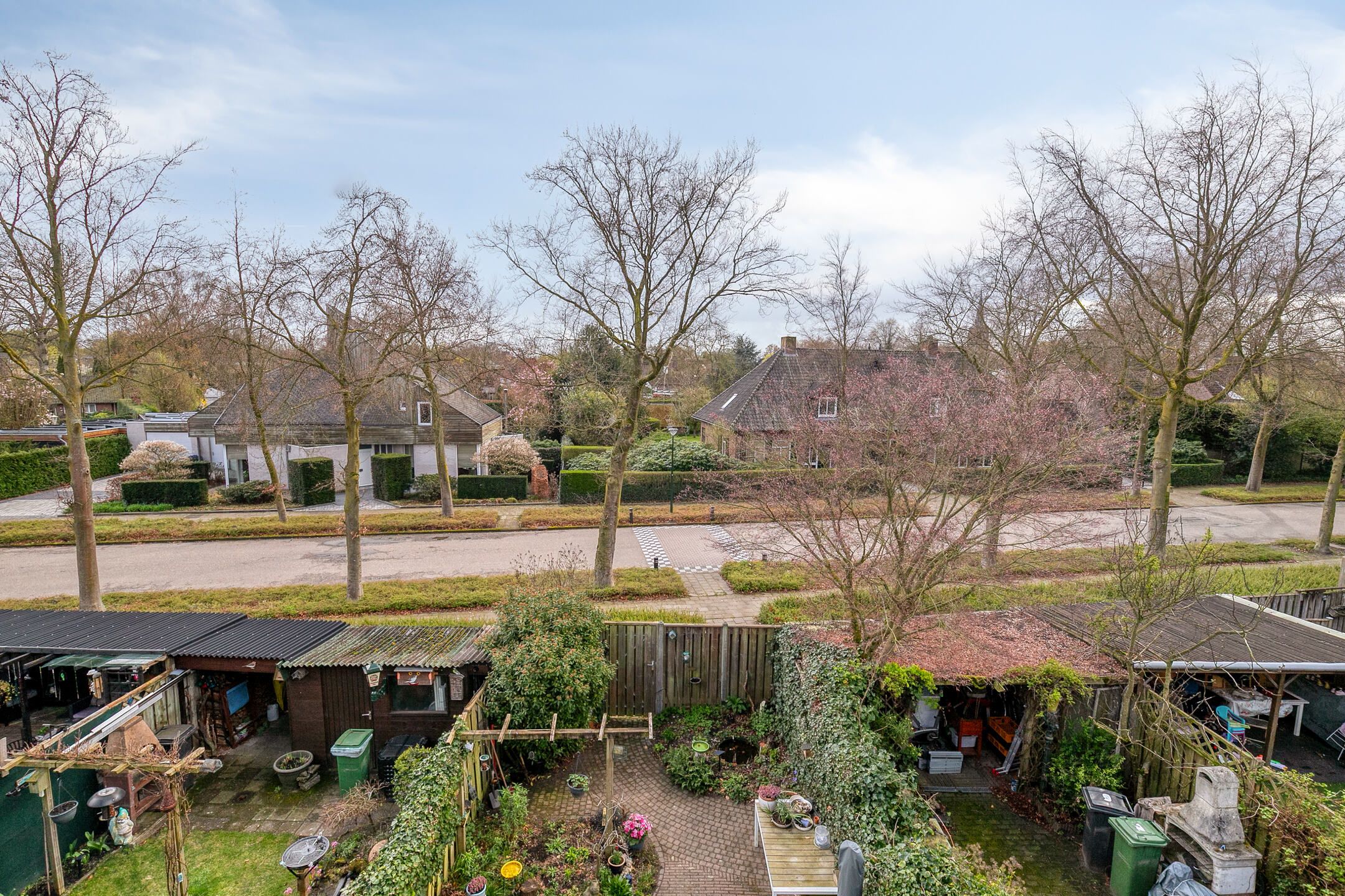 Foto 42 van Schutsboom 9