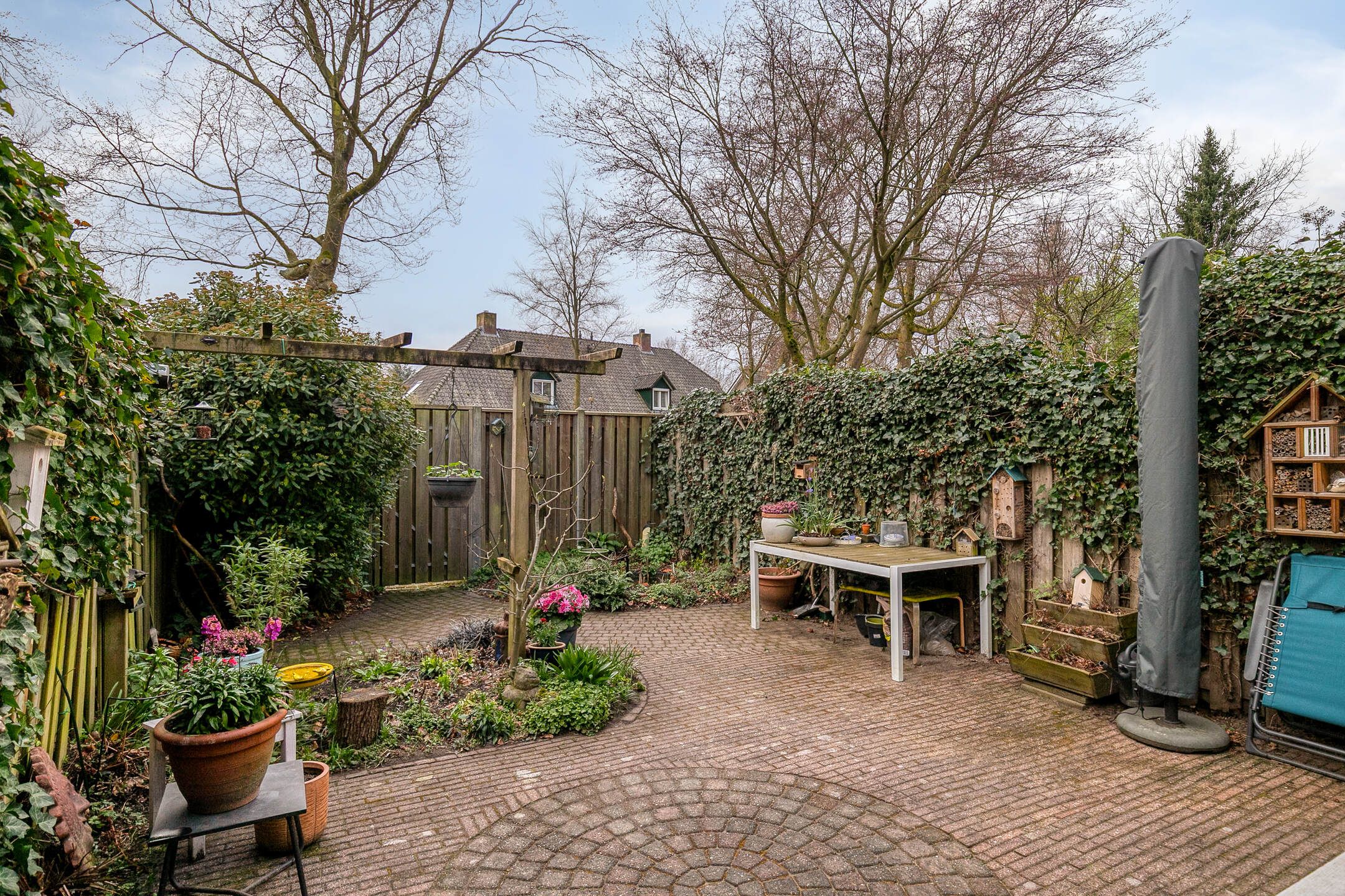 Foto 6 van Schutsboom 9