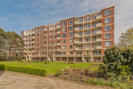 Ranonkelstraat thumbnail