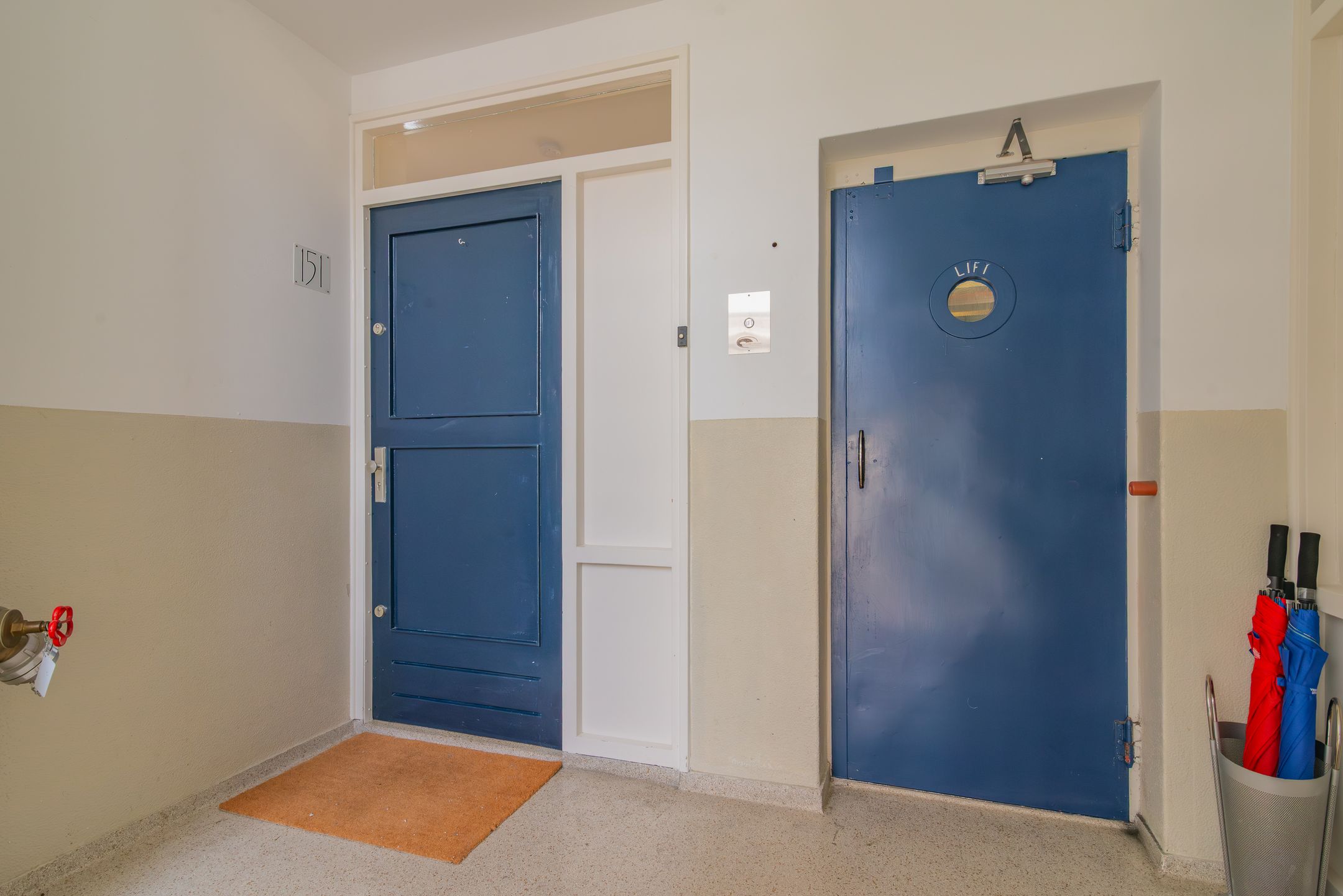 Foto 21 van Ranonkelstraat 151