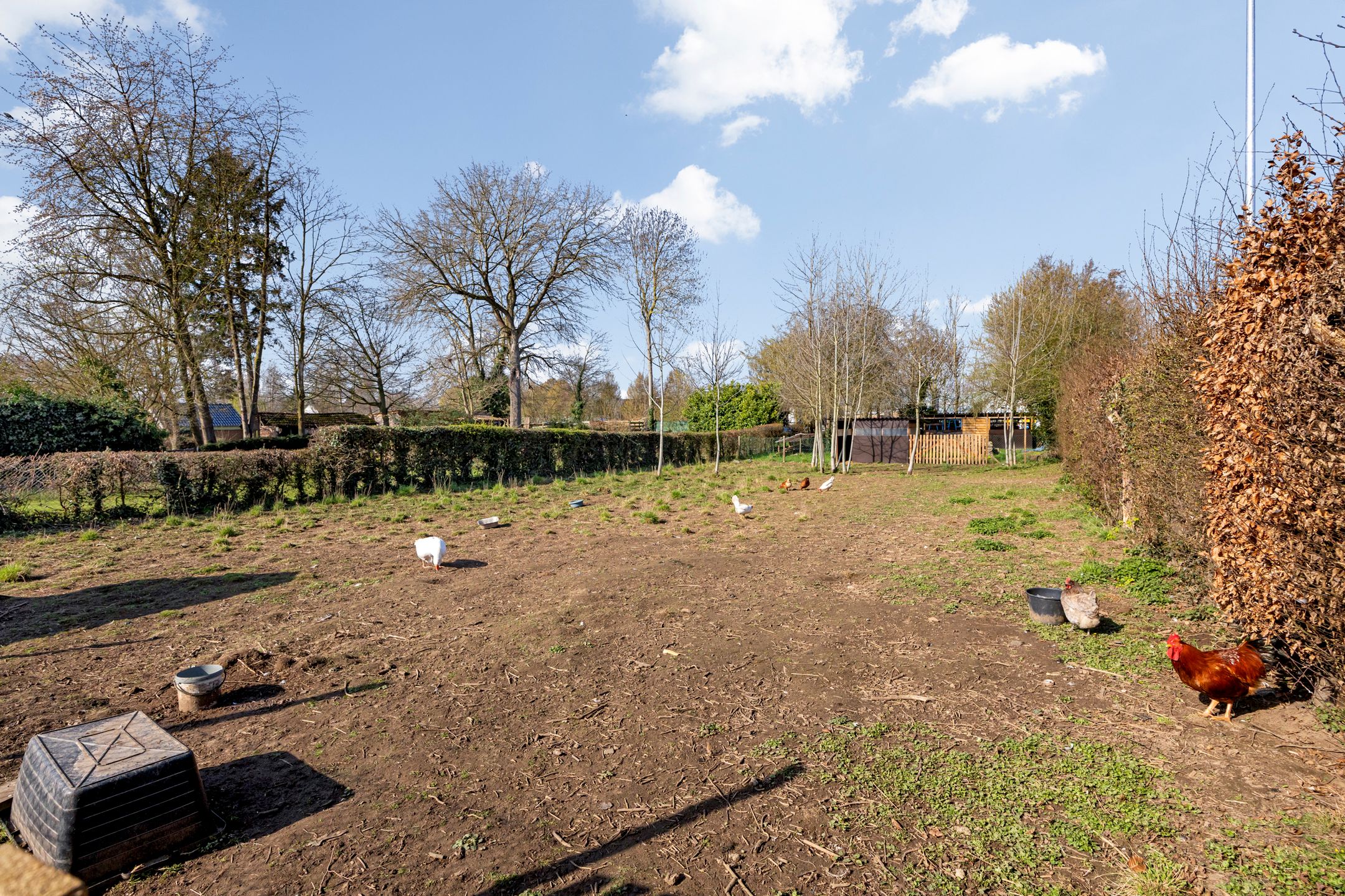 Unique Property with Historic Barn and Spacious Garden in Echt Centre — 19
